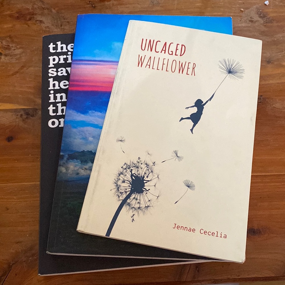 Poetry Book Bundle